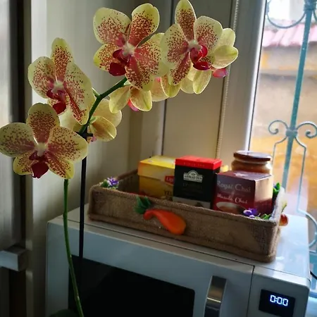 Park Garden Studio Апартаменты